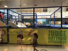 -比格比萨自助(万柳华联店)