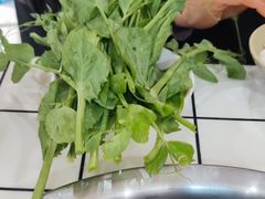-海关荤豆花(洋河一路店)