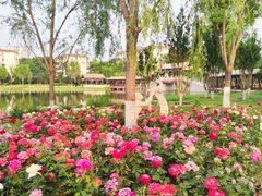 -西海子公园