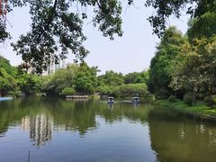 -晓港公园