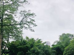 -晓港公园
