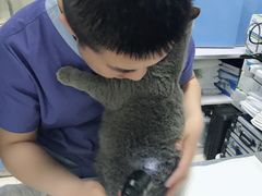 -邢大夫动物医院