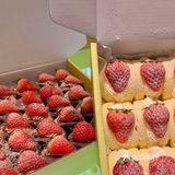 被问爆的🍓草莓抱抱卷，谁吃谁爱！