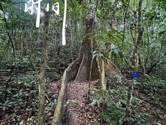 -中国科学院西双版纳热带植物园