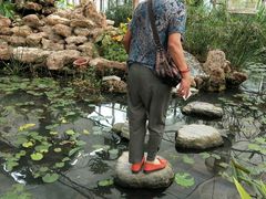 -白洋淀景区