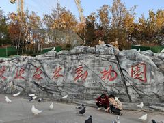 -大连森林动物园