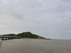 -野狸岛