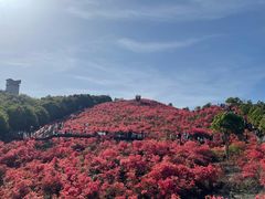 -瑞安圣井山景区