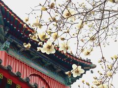 -北京艺术博物馆(万寿寺)