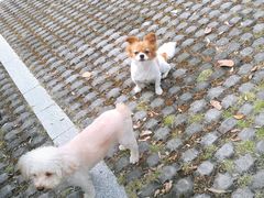 -黄龙带水库