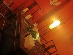 -AOE 火焰 剧本密室狼人杀