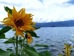 -丽江泸沽湖景区