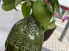 -梁姐啤酒鱼(兴坪古镇店)