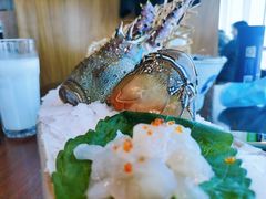 -芥末日本料理(打浦路铂尔曼旗舰店)