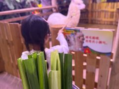 -正佳雨林生态植物园