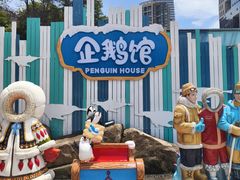 -海合安成都极地海洋公园