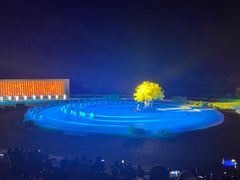 -鼎盛王朝康熙大典实景演出