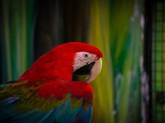 -海合安武汉极地海洋公园