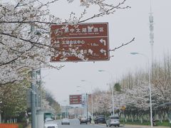 -苏州太湖国家湿地公园