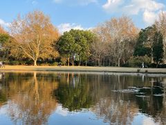 -上海共青森林公园