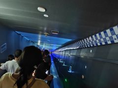 -白鹤梁水下博物馆