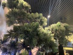 -绿茶餐厅(成都大悦城店)