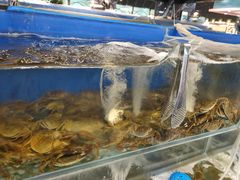 水产区-圣罗巴海鲜自助(黑金店)