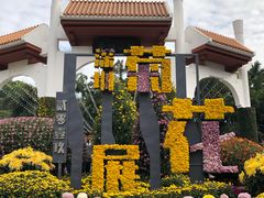 -姚姚酸菜鱼·金戈戈香港豉油鸡(喜荟城联名店)