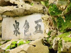 -上海醉白池公园