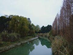 -金沙遗址博物馆