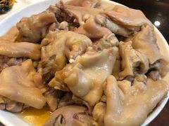 -丁老爷子苏香圆