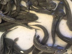 -温岭人家(红花北路店)