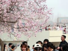 -吉林大学(南岭校区)
