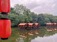 -侨美·唐荔园·40年地道粤菜