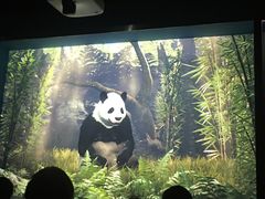 -珠海横琴国家地理探险家中心(创新方)