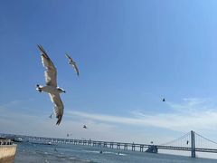 -星海广场