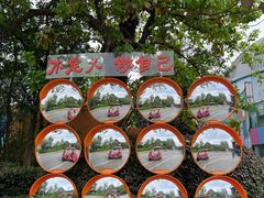 -成都欢乐谷