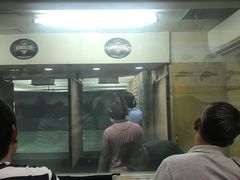 -Armscor Shooting Ranges, Incorporated