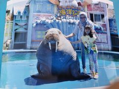 -华夏文旅海洋公园