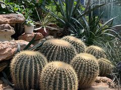 -国家植物园南园