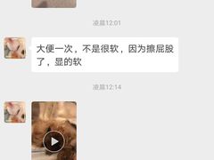 -美联众合动物医院(·中兽医·疑难杂症·严家桥分院)