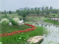 -桂溪生态公园