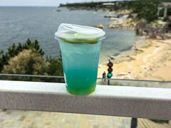 -海岛日记(养马岛店)