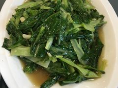 油麦菜-成都老店