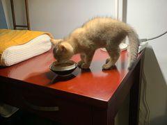 -美联众合24小时·皮肤科·外科·全科诊疗中心(华苑分院)