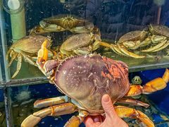 -广记海鲜(杨汊湖一店)