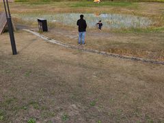 -春花秋色城市公园