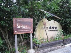 -三亚亚龙湾人间天堂鸟巢度假村