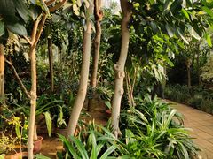 -国家植物园南园