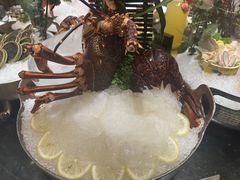 -半岛翡丽海鲜自助餐厅(观风亭店)